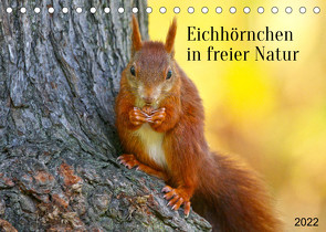 Eichhörnchen in freier Natur (Tischkalender 2022 DIN A5 quer) von SchnelleWelten