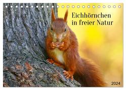 Eichhörnchen in freier Natur (Tischkalender 2024 DIN A5 quer), CALVENDO Monatskalender von SchnelleWelten,  SchnelleWelten