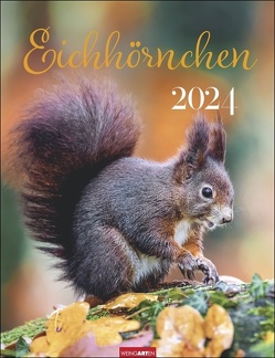 Eichhörnchen Kalender 2024