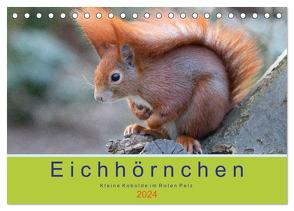 Eichhörnchen – Kleine Kobolde im Roten Pelz (Tischkalender 2024 DIN A5 quer), CALVENDO Monatskalender von Brackhan,  Margret