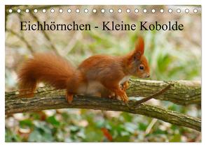 Eichhörnchen – Kleine Kobolde (Tischkalender 2024 DIN A5 quer), CALVENDO Monatskalender von Kattobello,  Kattobello
