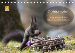 Eichhörnchen – Lustige Kurzgeschichten mit den quirligen Wildtieren (Tischkalender 2023 DIN A5 quer) von Cerny,  Birgit