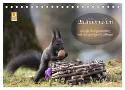 Eichhörnchen – Lustige Kurzgeschichten mit den quirligen Wildtieren (Tischkalender 2024 DIN A5 quer), CALVENDO Monatskalender von Cerny,  Birgit