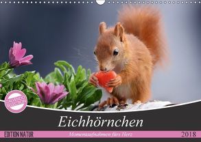 Eichhörnchen Momentaufnahmen fürs Herz (Wandkalender 2018 DIN A3 quer) von Meier,  Tine