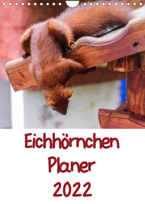 Eichhörnchen Planer 2022 (Wandkalender 2022 DIN A4 hoch) von Jaeger,  Carsten
