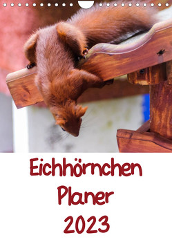 Eichhörnchen Planer 2023 (Wandkalender 2023 DIN A4 hoch) von Jaeger,  Carsten