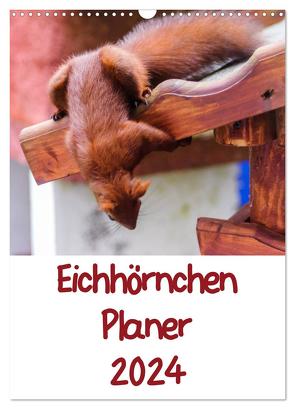 Eichhörnchen Planer 2024 (Wandkalender 2024 DIN A3 hoch), CALVENDO Monatskalender von Jaeger,  Carsten