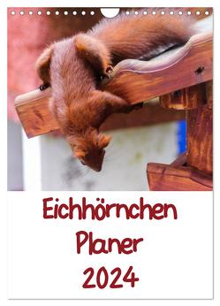 Eichhörnchen Planer 2024 (Wandkalender 2024 DIN A4 hoch), CALVENDO Monatskalender von Jaeger,  Carsten