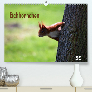 Eichhörnchen (Premium, hochwertiger DIN A2 Wandkalender 2023, Kunstdruck in Hochglanz) von SchnelleWelten