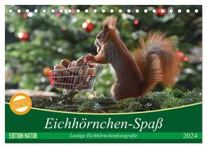 Eichhörnchen-Spaß (Tischkalender 2024 DIN A5 quer), CALVENDO Monatskalender von Adam,  Heike