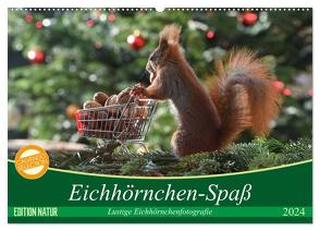 Eichhörnchen-Spaß (Wandkalender 2024 DIN A2 quer), CALVENDO Monatskalender von Adam,  Heike