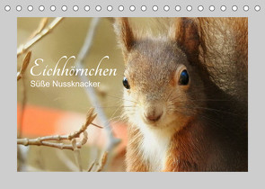 Eichhörnchen – Süße Nussknacker (Tischkalender 2023 DIN A5 quer) von Fofino