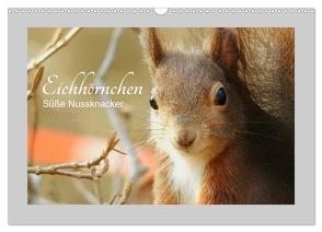 Eichhörnchen – Süße Nussknacker (Wandkalender 2024 DIN A3 quer), CALVENDO Monatskalender von Fofino,  Fofino