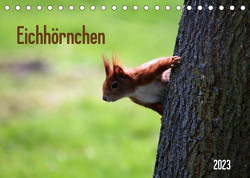 Eichhörnchen (Tischkalender 2023 DIN A5 quer) von SchnelleWelten