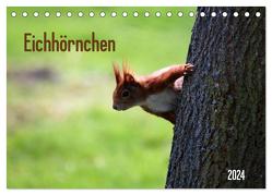 Eichhörnchen (Tischkalender 2024 DIN A5 quer), CALVENDO Monatskalender von SchnelleWelten,  SchnelleWelten