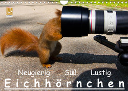 Eichhörnchen (Wandkalender 2023 DIN A4 quer) von Reichert,  Ralph