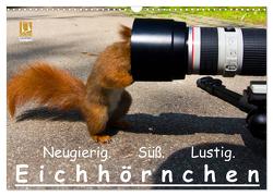 Eichhörnchen (Wandkalender 2024 DIN A3 quer), CALVENDO Monatskalender von Reichert,  Ralph