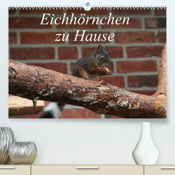 Eichhörnchen zu Hause (Premium, hochwertiger DIN A2 Wandkalender 2022, Kunstdruck in Hochglanz) von Peitz,  Martin
