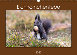 Eichhörnchenliebe (Wandkalender 2023 DIN A3 quer) von Bauer,  Teresa