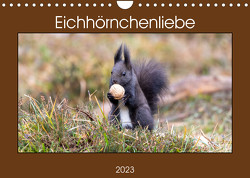 Eichhörnchenliebe (Wandkalender 2023 DIN A4 quer) von Bauer,  Teresa