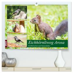 Eichhörnliweg Arosa – Eichhörnchen und Tannenhäher (hochwertiger Premium Wandkalender 2024 DIN A2 quer), Kunstdruck in Hochglanz von und Philipp Kellmann,  Stefanie