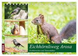 Eichhörnliweg Arosa – Eichhörnchen und Tannenhäher (Tischkalender 2024 DIN A5 quer), CALVENDO Monatskalender von und Philipp Kellmann,  Stefanie