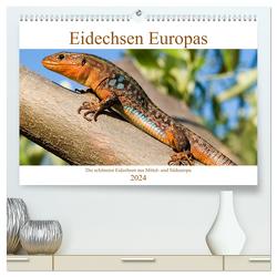 Eidechsen Europas (hochwertiger Premium Wandkalender 2024 DIN A2 quer), Kunstdruck in Hochglanz von Simlinger,  Wolfgang