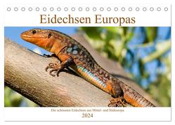 Eidechsen Europas (Tischkalender 2024 DIN A5 quer), CALVENDO Monatskalender von Simlinger,  Wolfgang