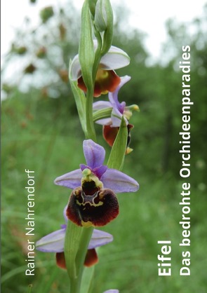 Eifel – Das bedrohte Orchideenparadies von Nahrendorf,  Rainer
