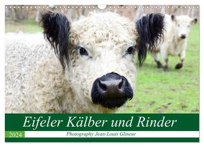 Eifeler Kälber und Rinder (Wandkalender 2024 DIN A3 quer), CALVENDO Monatskalender von Glineur,  Jean-Louis