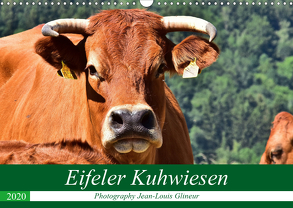 Eifeler Kuhwiesen (Wandkalender 2020 DIN A3 quer) von Glineur,  Jean-Louis