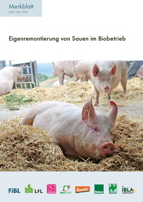 Eigenremontierung von Sauen im Biobetrieb von Früh,  Barbara, Sinz,  Elisabeth