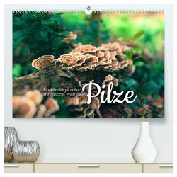 Ein Ausflug in die magische Welt der Pilze (hochwertiger Premium Wandkalender 2024 DIN A2 quer), Kunstdruck in Hochglanz von SF,  SF