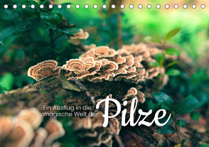 Ein Ausflug in die magische Welt der Pilze (Tischkalender 2023 DIN A5 quer) von SF