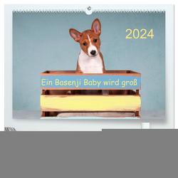 Ein Basenji Baby wird groß (hochwertiger Premium Wandkalender 2024 DIN A2 quer), Kunstdruck in Hochglanz von Joswig,  Angelika