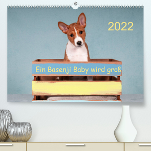 Ein Basenji Baby wird groß (Premium, hochwertiger DIN A2 Wandkalender 2022, Kunstdruck in Hochglanz) von Joswig,  Angelika
