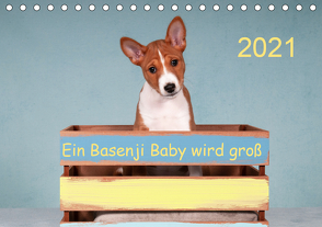 Ein Basenji Baby wird groß (Tischkalender 2021 DIN A5 quer) von Joswig,  Angelika