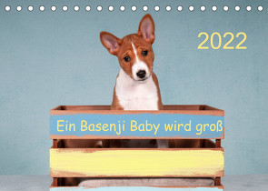 Ein Basenji Baby wird groß (Tischkalender 2022 DIN A5 quer) von Joswig,  Angelika