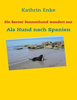 Ein Berner Sennenhund wandert aus von Enke,  Kathrin