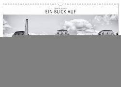 Ein Blick auf Darmstadt (Wandkalender 2024 DIN A3 quer), CALVENDO Monatskalender von W. Lambrecht,  Markus
