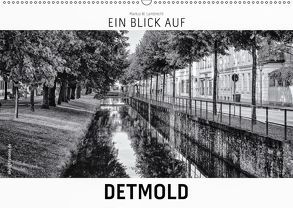 Ein Blick auf Detmold (Wandkalender 2019 DIN A2 quer) von W. Lambrecht,  Markus