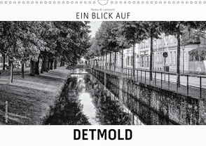 Ein Blick auf Detmold (Wandkalender 2021 DIN A3 quer) von W. Lambrecht,  Markus