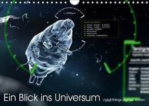 Ein Blick ins Universum – cglightNings digitale Welten (Wandkalender 2019 DIN A4 quer) von Winkler - cglightNing,  Stefanie