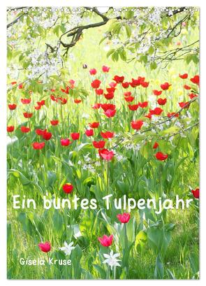 Ein buntes Tulpenjahr (Wandkalender 2024 DIN A3 hoch), CALVENDO Monatskalender von Kruse,  Gisela