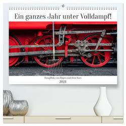 Ein ganzes Jahr unter Volldampf! (hochwertiger Premium Wandkalender 2024 DIN A2 quer), Kunstdruck in Hochglanz von Schröder,  Stefan