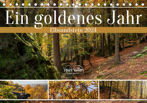 Ein goldenes Jahr – Elbsandstein (Tischkalender 2024 DIN A5 quer), CALVENDO Monatskalender von Walther,  Kevin