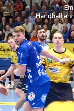 Ein Handballjahr von Berlemann,  Jochem, Ehret,  Marietta, Hagemann,  Jörg, Wieking,  Matthias