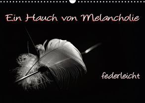 Ein Hauch von Melancholie – federleicht (Wandkalender 2019 DIN A3 quer) von ppicture