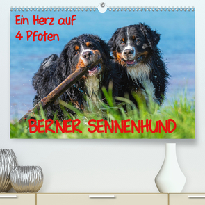 Ein Herz auf 4 Pfoten – Berner Sennenhund (Premium, hochwertiger DIN A2 Wandkalender 2020, Kunstdruck in Hochglanz) von Starick,  Sigrid