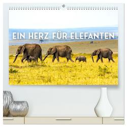Ein Herz für Elefanten (hochwertiger Premium Wandkalender 2024 DIN A2 quer), Kunstdruck in Hochglanz von SF,  SF